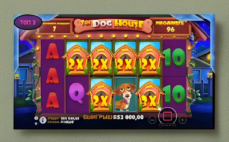 Почему SOL привлекает игроков из Алматы и Астаны